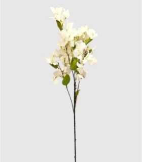 Flor Boungavilla Blanca